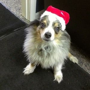 Meet your Posher, Dawn n gary